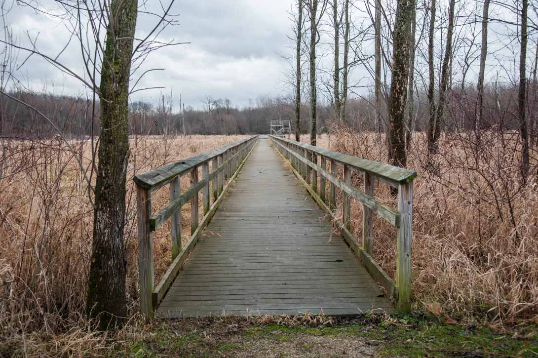 Wood bridge at Black Fork Wetlands