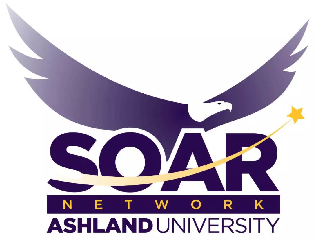 SOAR Network logo