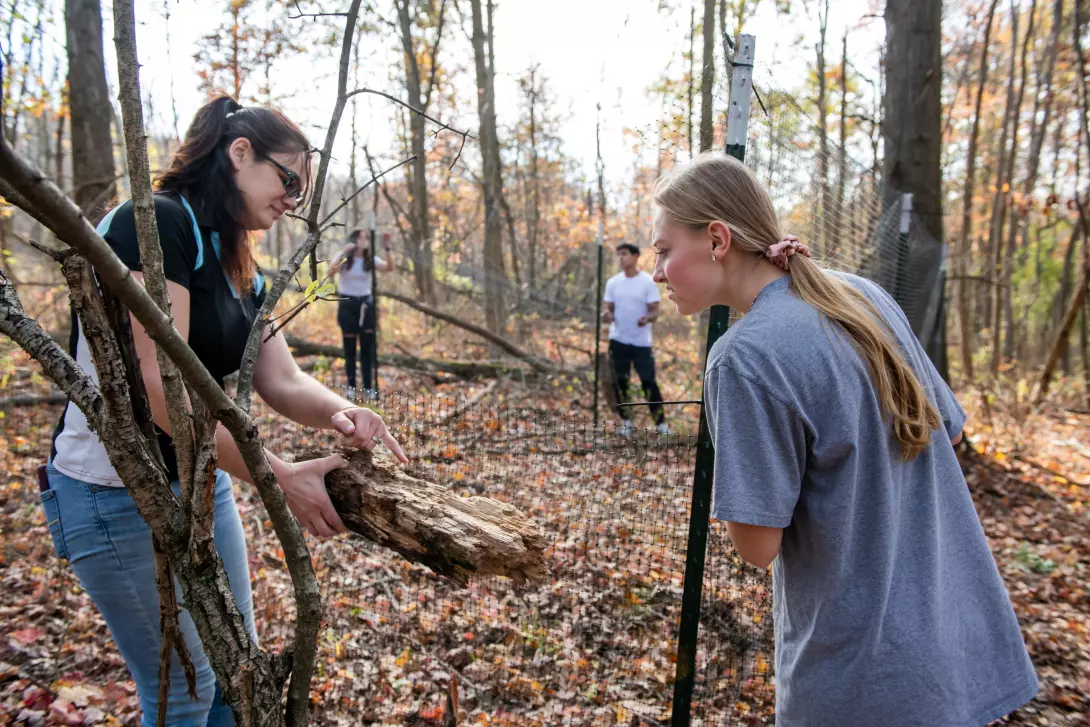 Assistant Professor Cindy Perkovich, Ph.D., Laney Frary